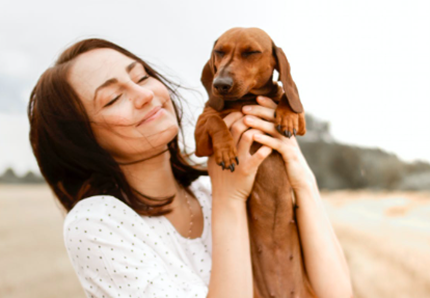 Far felice il cane, ecco come: i pasti